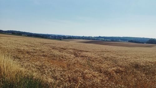 Scenic view of rural landscape