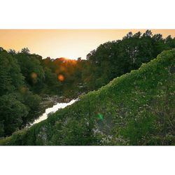 Scenic view of landscape against clear sky