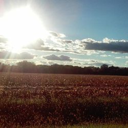 Scenic view of field against cloudy sky