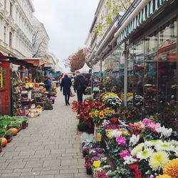 Flowers on display at store