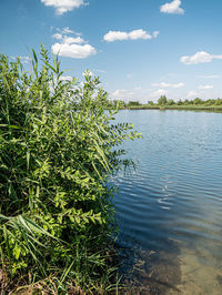 Scenic view of lake against sky