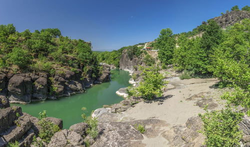 Scenic view of river amidst trees against clear sky