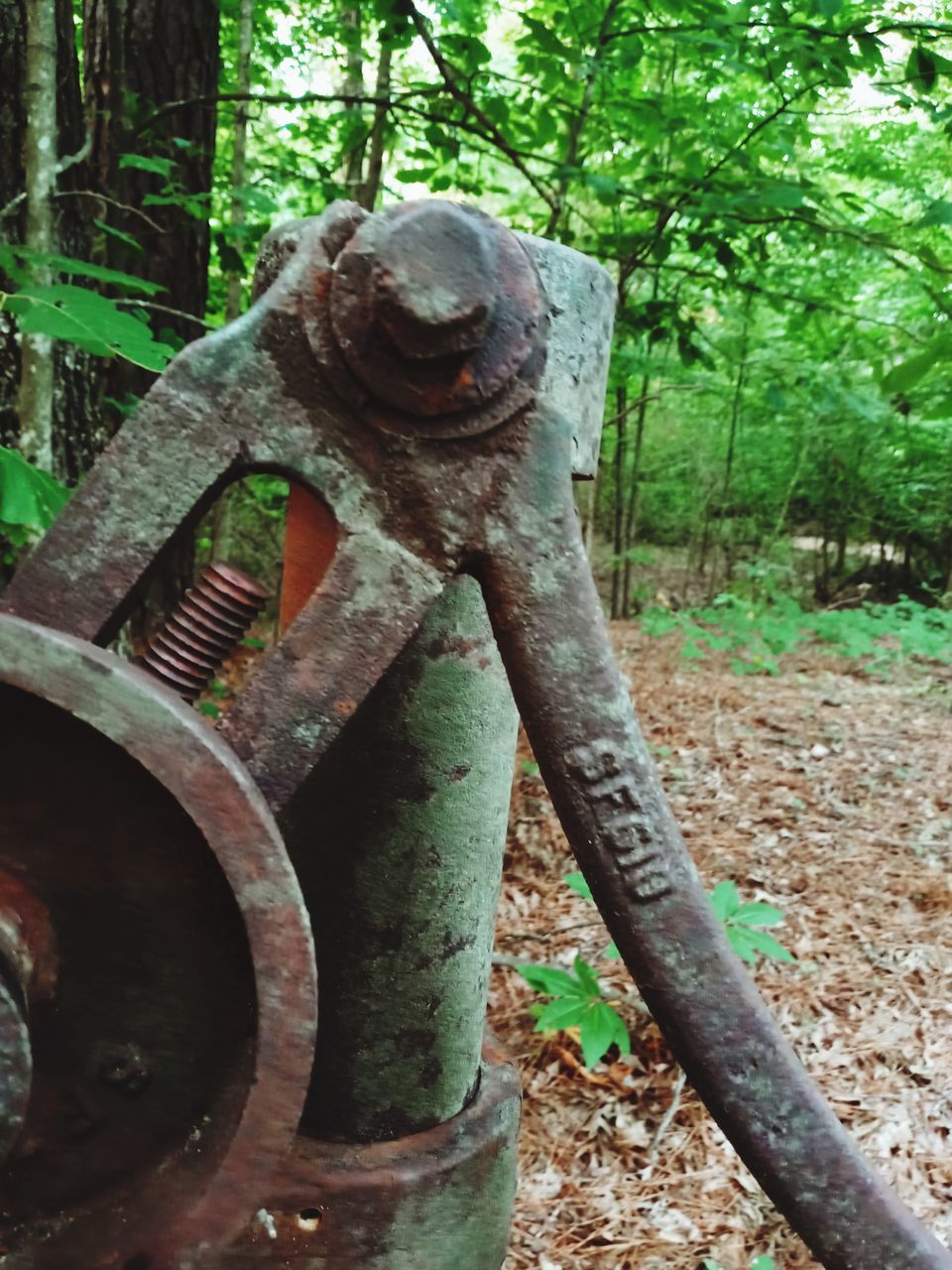 tree, rusty, plant, metal, no people, day, sculpture, nature, old, land, forest, wood, outdoors, abandoned, tree trunk, trunk, green, damaged