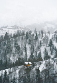 View of a barn on snowy hill in a foggy winter day