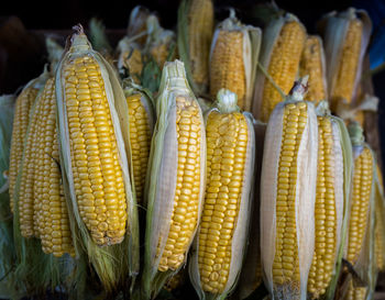 Directly above shot of corns for sale at market stall