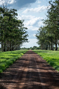 Tree lined way.