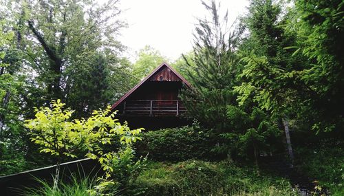 House amidst trees and plants in forest against sky