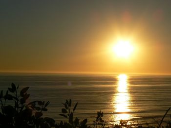 Scenic view of sea at sunset