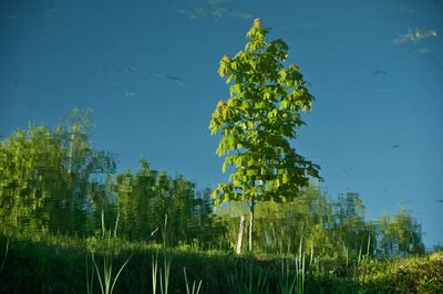 Scenic view of lake against blue sky