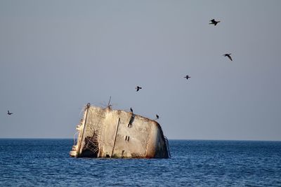 Scenic view of sea against clear sky. lady corlin ship wreck in baltic sea. 