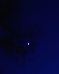 Low angle view of bare tree against blue sky