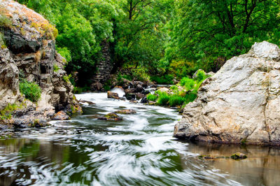 River flowing through rocks in forest