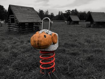 View of pumpkins on field against sky