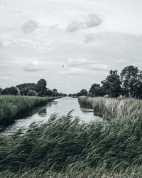 Scenic view of river against sky