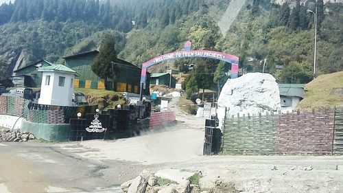 Panoramic view of trees on mountain