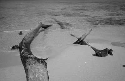 High angle view of footprints on beach