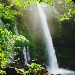 Waterfall in forest