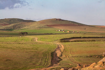 Scenic view of landscape