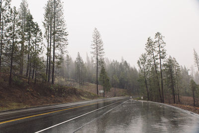 Road amidst trees against clear sky