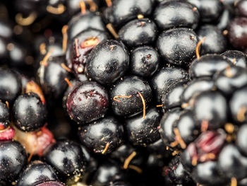 Full frame shot of blueberries