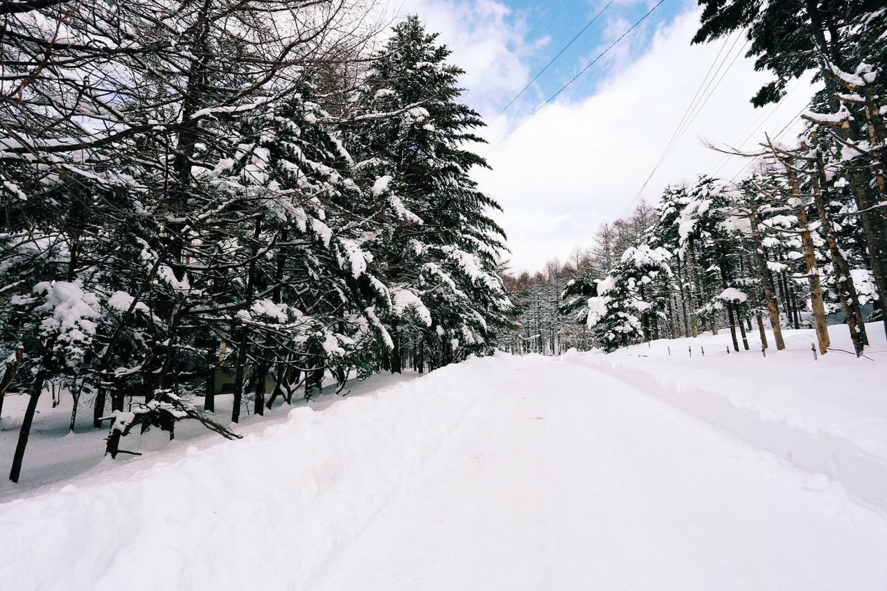 snow, winter, tree, cold temperature, the way forward, diminishing perspective, season, road, tranquility, nature, sky, vanishing point, tranquil scene, weather, white color, covering, landscape, beauty in nature, treelined, transportation