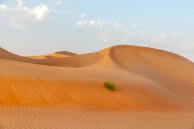 Natural landscape of the orange color sand dunes in the desert in abu dhabi
