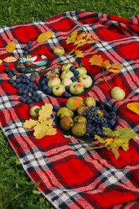 High angle view of fruits