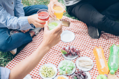 High angle view of people toasting drinks at park