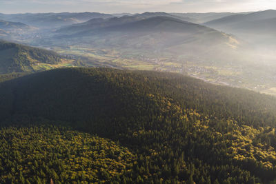 Scenic view of forest and mountains during sunrise