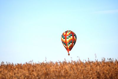 Hot air balloon flying over field