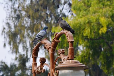 Bird perching on a sculpture