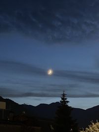 Low angle view of silhouette tree against sky at night
