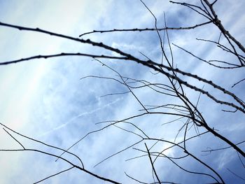 Low angle view of bare tree against cloudy sky