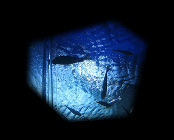 Close-up of illuminated blue light on black background