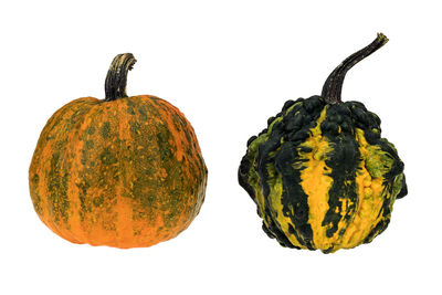 Close-up of pumpkin against white background