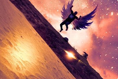 View of birds in water