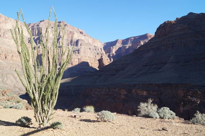 Low angle view of rock formations in desert against sky