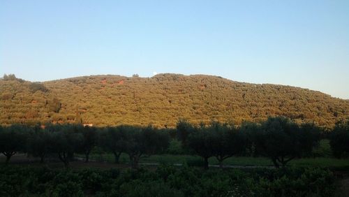 Scenic view of landscape against clear sky