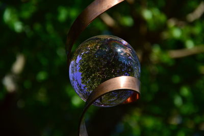 Close-up of crystal ball on tree
