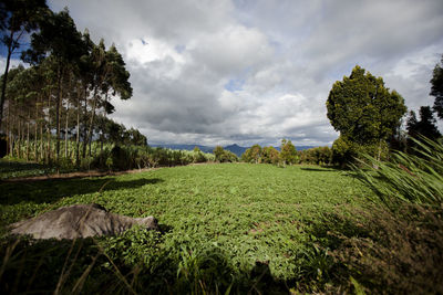 Scenic view of land against sky