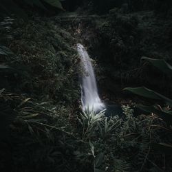 Scenic view of waterfall