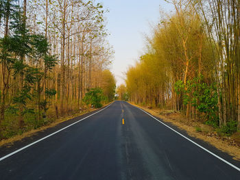 Empty road amidst trees against sky