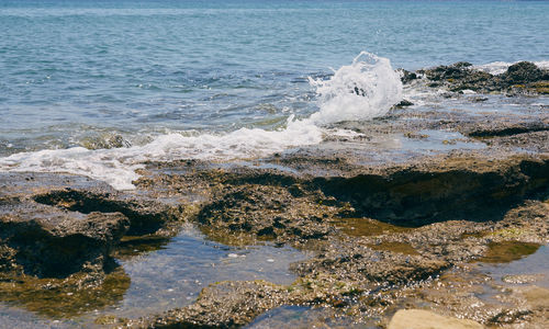 Scenic view of sea shore