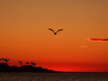 Seagulls flying over sea against sky during sunset