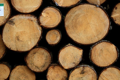 Full frame shot of logs in forest