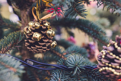 Natural pine cone decorated with gold jingle bells and string beads on christmas tree. diy