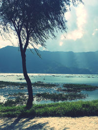 Scenic view of lake against sky