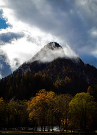 Scenic view of forest against sky during autumn
