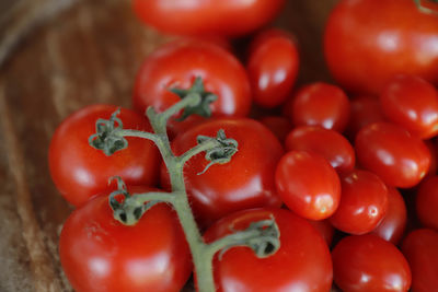 Close-up of tomatoes in kitchen