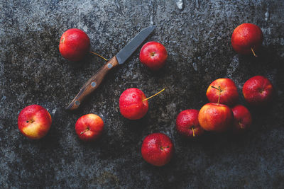 Directly above shot of apples and knife